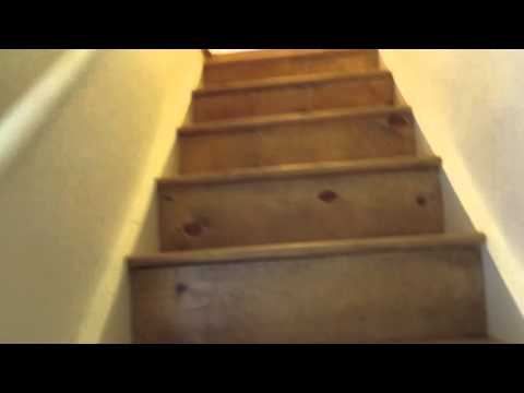 Swinney 1229 - Video 2 of 2