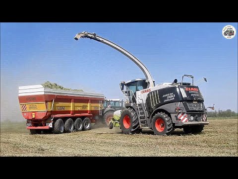 Claas Jaguar 980 (494) Black Edition & 2 Fendt 900 - ANSELMI - Trinciatura loietto 2022