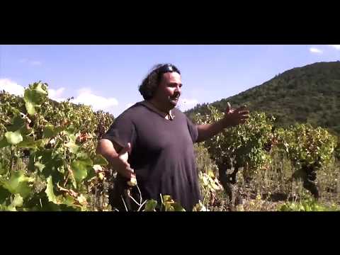 Domaine de Dernacueillette - Guillaume Boussens