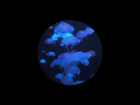 [FREE] Alpha Wann x Népal Type Beat : " Abysses " (prod by @yᴀng)