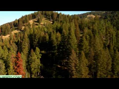 Alberto Cobo plays Chopin Sonata 3# · 3rd Movement