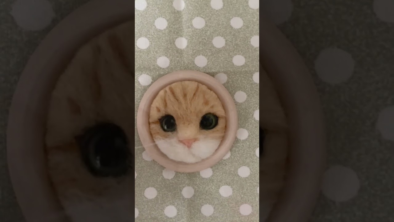 羊毛フェルトにゃんこにヒゲを付ける！　#syorts