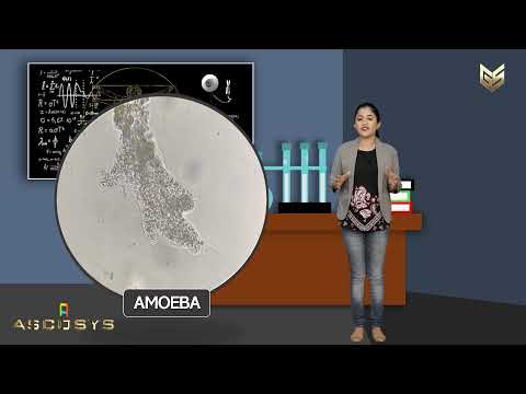 Go get your own Gyansrota - affordable quality education. Success is now a Reality!