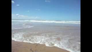 preview picture of video 'Praia pontal do peba - Alagoas'