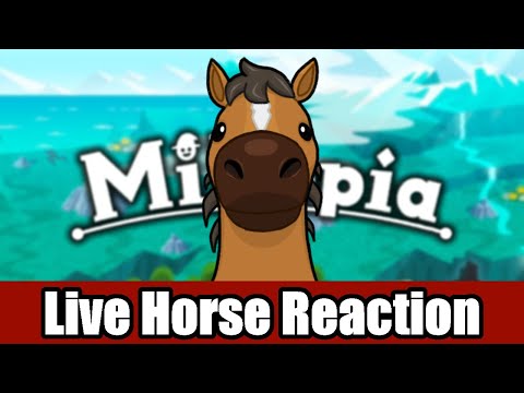 Miitopia with Only the Horse