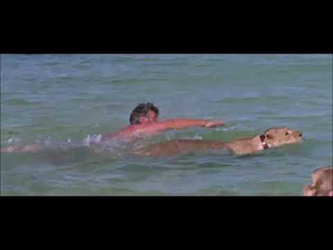 Elsa   Born Free 1966   Matt Monro