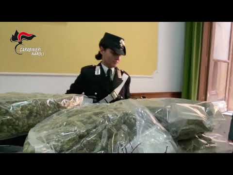 48 chili di marijuana trovati in centro di smistamento a Caserta