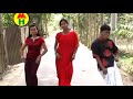 Amar Salir Gache Dhore Ache Paka Paka Aam