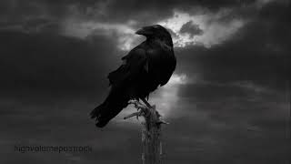 Judas Priest - Run of the Mill