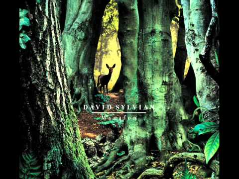 David  Sylvian - Random Acts of Senseless Violence