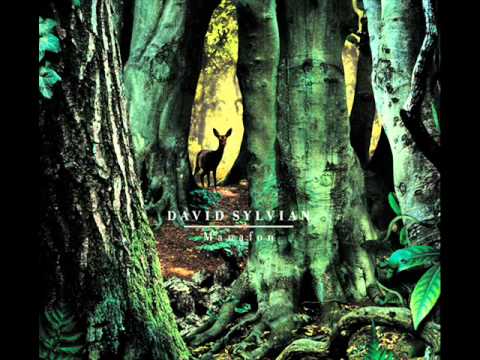 David  Sylvian - Random Acts of Senseless Violence