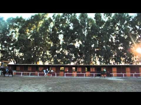 Circolo Ippico La Bruca - Scuola di Equitazione - Scalea (CS)