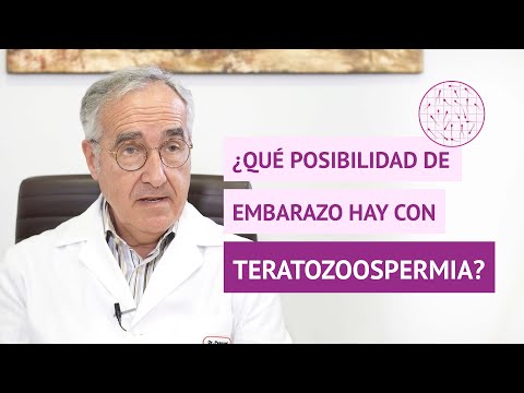 ¿Qué es la teratozoospermia? - Causas, tipos y tratamientos