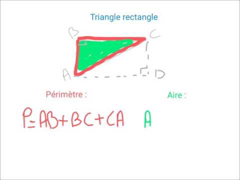 Périmètre et aire d'un triangle rectangle