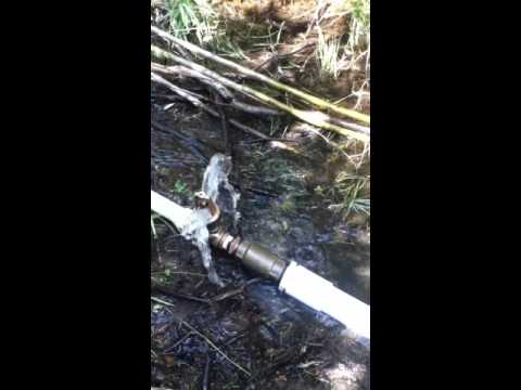 Science fair ram pump