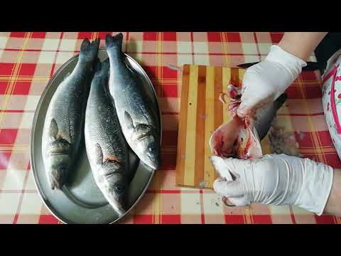 KAKO OČISTITI RIBU | PRAVILAN NAČIN | BRANCIN - LUBIN✔✔✔✔✔✔