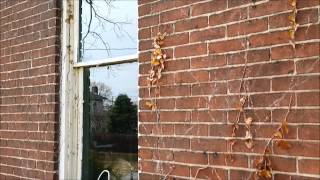 Last Rites, N&#39;Orlins Style, For A Beautiful Old Home In Newark, Ohio