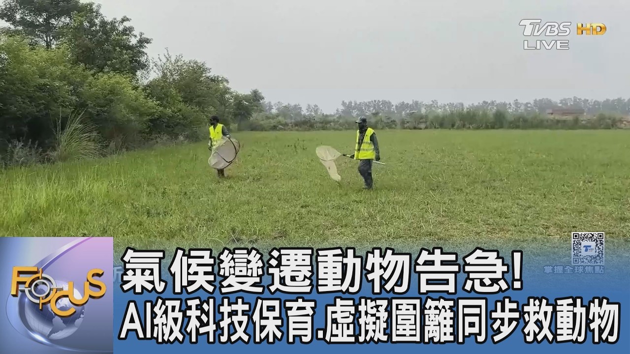 氣候變遷動物告急！極端熱浪、奪命路殺頻傳 跨國科技生態救援迎擊