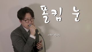 폴킴 (Paul Kim) - 눈 COVER by 브리드