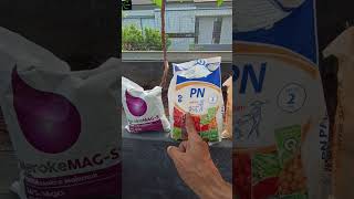 Hsp 32 butuh nutrisi apa?