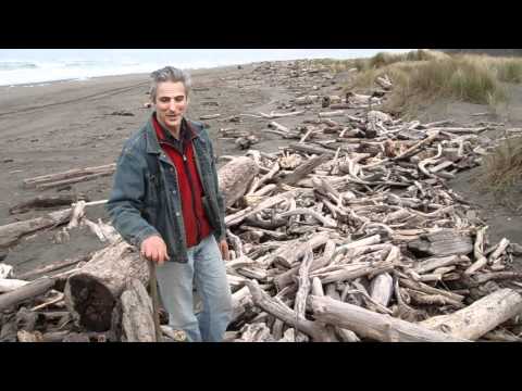 download lagu mp3 mp4 Reclaimed Wood Myrtle Beach, download lagu Reclaimed Wood Myrtle Beach gratis, unduh video klip Reclaimed Wood Myrtle Beach