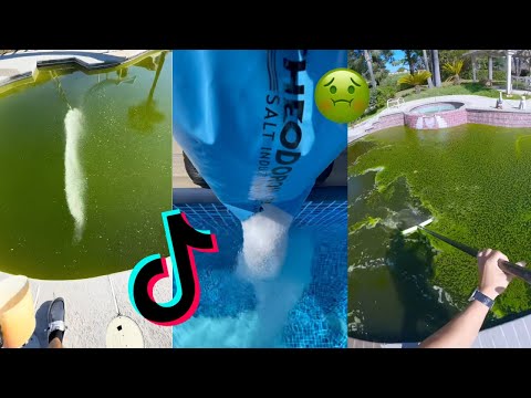 Pool cleaning tiktok compilation