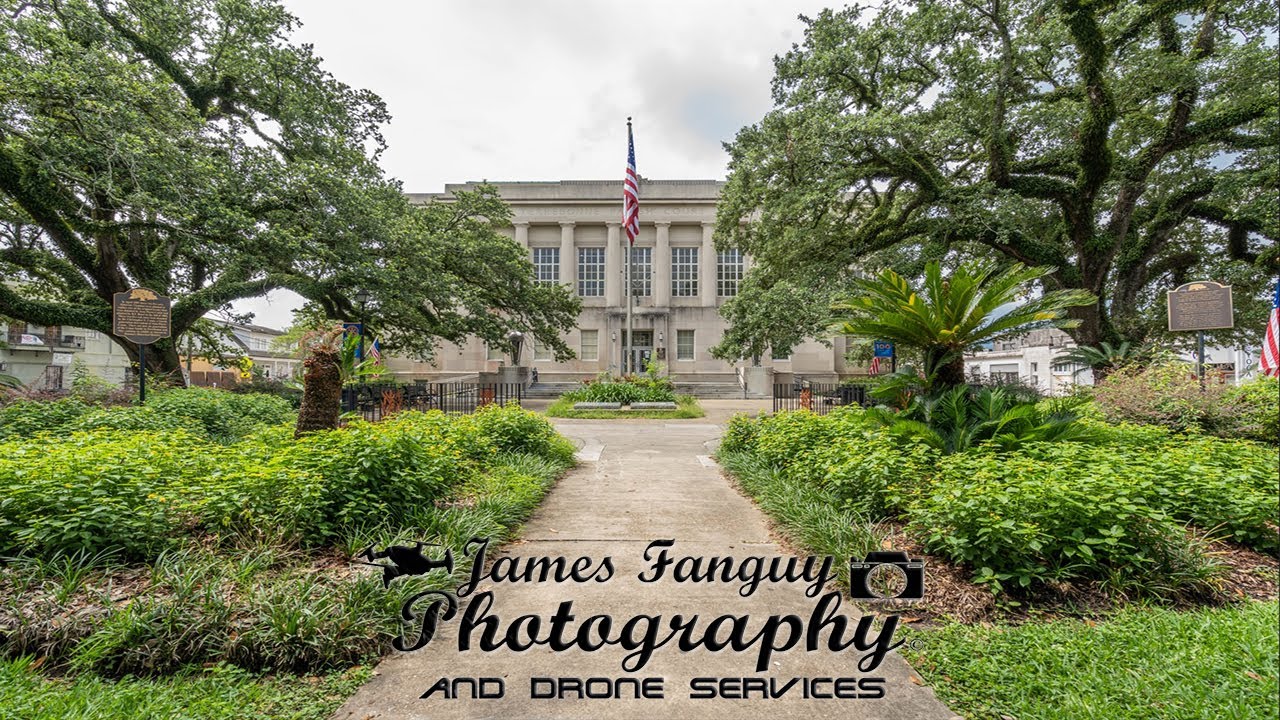 The Crawdads Sing Here (Part 1)