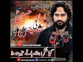 28 Rajab 2023 Rawangi Karbala WhatsApp Status Zakir Waseem Abbas Baloch