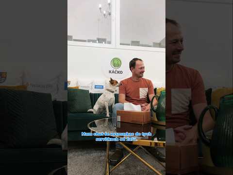 Pampi v klube prvej psychologickej pomoci IPčko - kreate Klub - bezpečný priestor pre každého #pes