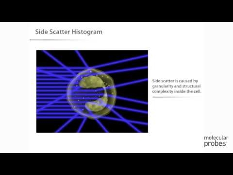 Molecular Probes Tutorial Series—Introduction to Flow Cytometry