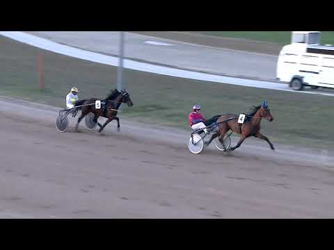 2019.12.26. 04. futam - CSEPELI BARÁTOK KÖRE DÍJ