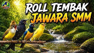 Download lagu 🔴 Live Masteran Jawara SMM Nembak Ngeroll Panjang Spesalis Tiket Mobilan Siap Jadi Juwara Nasional mp3