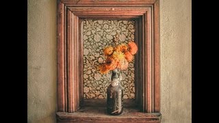 Maple Hill - Jack Blinked