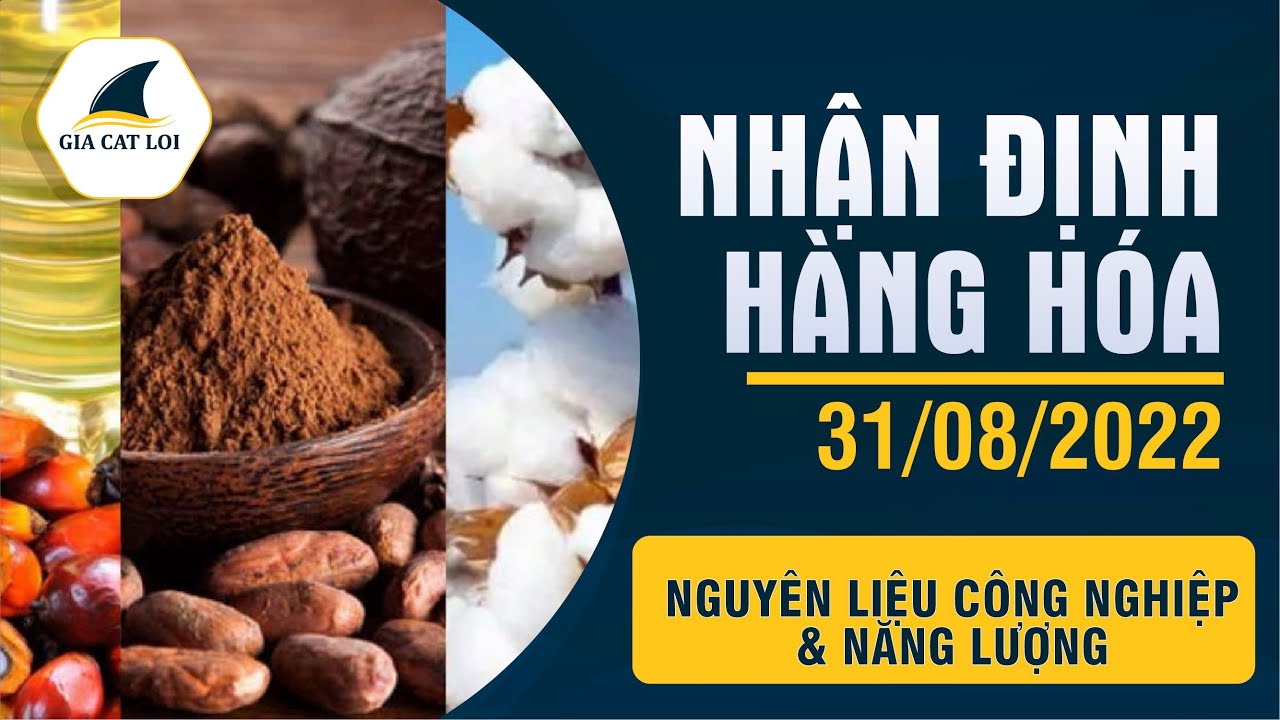 Nhận Định Thị Trường Năng Lượng & Nguyên Liệu Công Nghiệp Ngày 31/08/2022