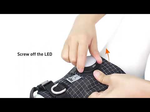 Шлея для собак Truelove TLH6771 с LED-подсветкой и держателем для GPS-трекера, XS Черный - фото 1 - id-p2794274286