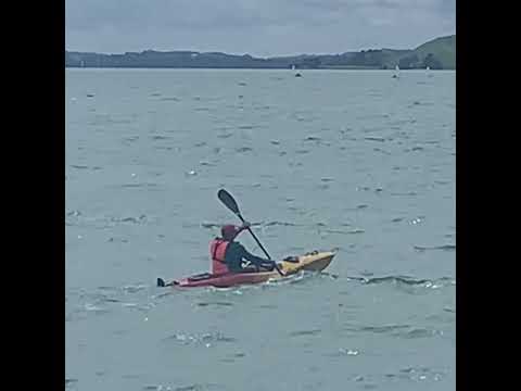 Explora kayak from Ocean River #kayak #kayaker #kayaklife #newzealand