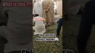 Download lagu Ahle Tashi (Shia) Spotted In Masjid-E-Nabawi ﷺ #shorts mp3