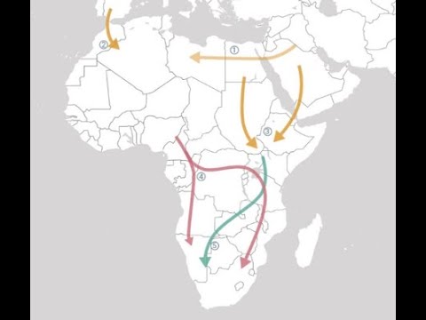 DNA Reveals Ancient Eurasian Migrations back into Sub-Saharan Africa
