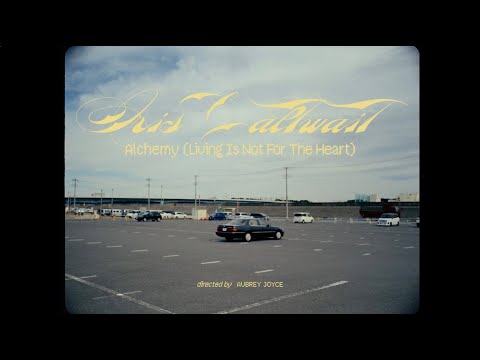 Iris Caltwait - "Alchemy (Living Is Not For The Heart)" (official video)