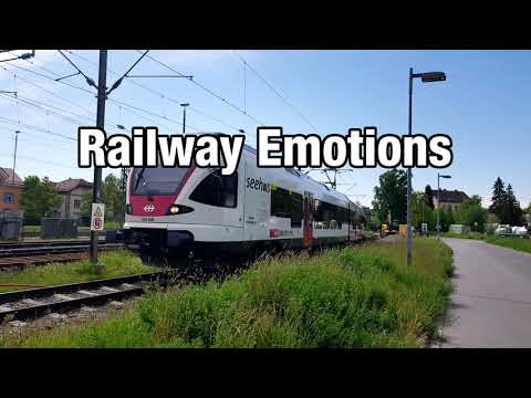 🚆 NON-STOP cab ride on the Seelinie along Lake Constance! (Switzerland | Konstanz - Schaffhausen)