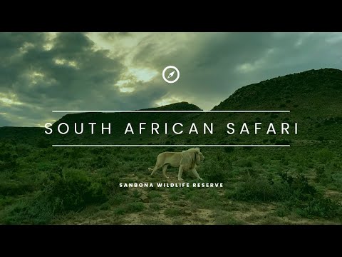 South African 🇿🇦 SAFARI - SANBONA Wildlife Reserve -  4K