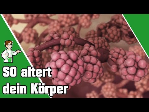 SO altert dein Körper 👴👵