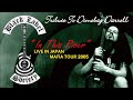 Black Label Society / Zakk Wylde - In This River ...