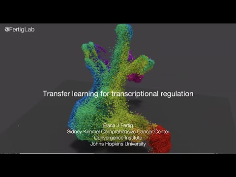 Recent Advances in scEpigenomics 2021 - Elana Fertig (Johns Hopkins University, Baltimore, USA)