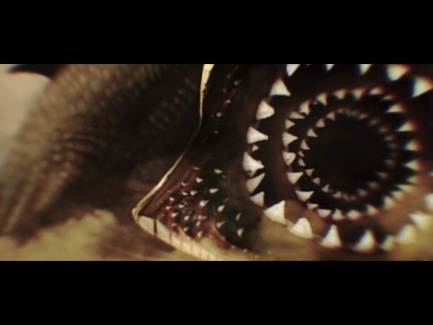 Diamond Head - The Sleeper (Official Video)