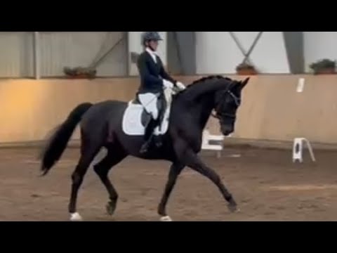 Dressurreiter L HH-Wilhelmsburg-Kirchdorf RL2