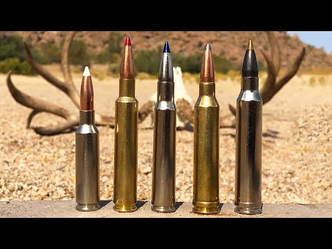 Best Cartridges for Big Game Animals: Who Claims the #1 Spot?