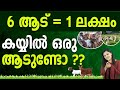 Want to Become A Successful Goat Farmer? | High Profitable Goat Farming In Malayalam | Vidya Nair