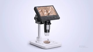 Download lagu 4.3 inch digital microscope, coin microscope, 50X-1000X magnification, with 8 adjustable LED lights mp3 Download lagu 4.3 inch digital microscope, coin microscope, 50X-1000X magnification, with 8 adjustable LED lights mp3