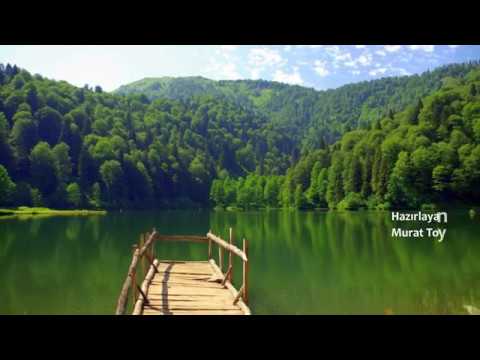 Koliva - Oy Oy Sevduğum (Şarkı sözü) | Kuş Bakışı Karadeniz